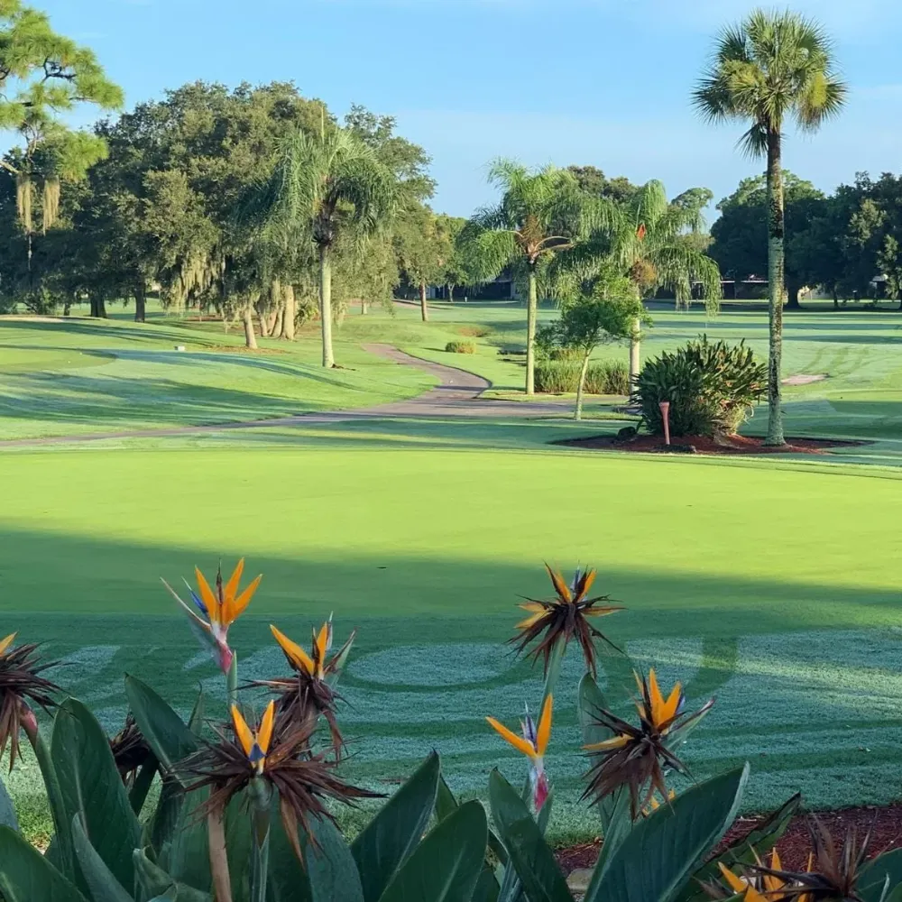 rockledge country club 46